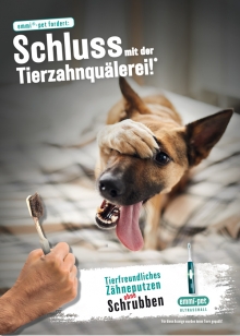 Die Awareness-Kampagne fr Emmi-pet ruft zu mehr Tierfreundlichkeit beim Zhneputzen auf - Foto: Emmi Ultrasonic